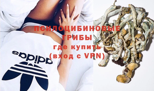 твердый Армянск