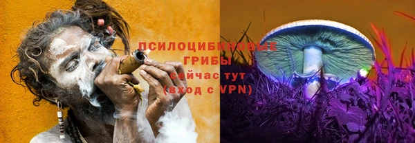 твердый Армянск
